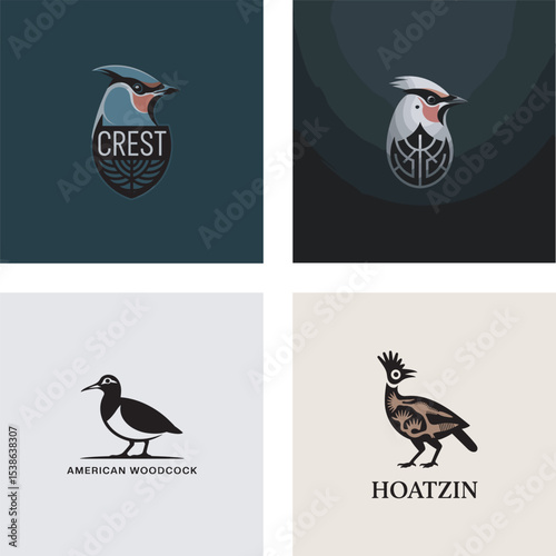 Set of four elegant bird logos featuring various avian species suitable for brand identity and design projects