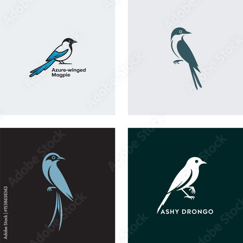 Set of four modern bird logos featuring azure-winged magpie and ashy drongo silhouettes in minimalist design