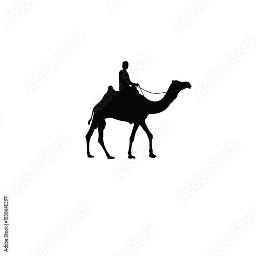 man riding camel silhouette on white background