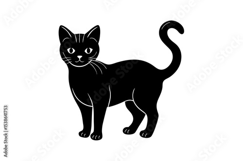 black cat on white background