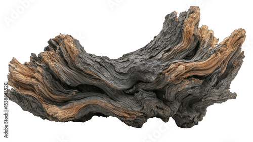 Eroded driftwood, textured, light/dark, swirling form