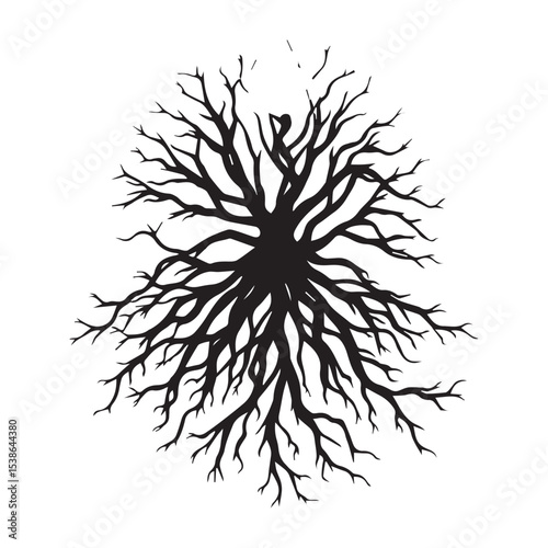 Abstract tree roots silhouette isolated on white background