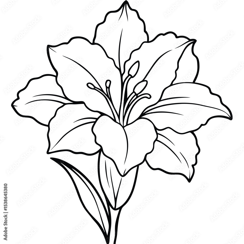 Fototapeta premium Gladiolus flower isolated on white background