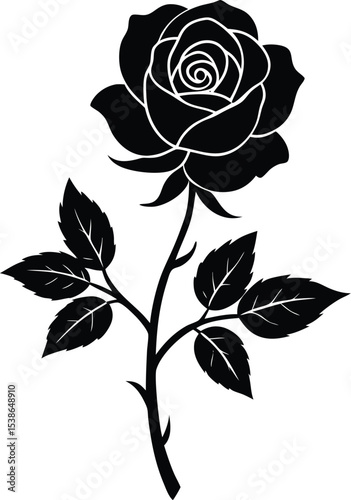 climbing rose flower silhouette on white background