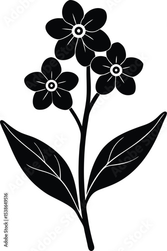 forget me not flower silhouette on white background