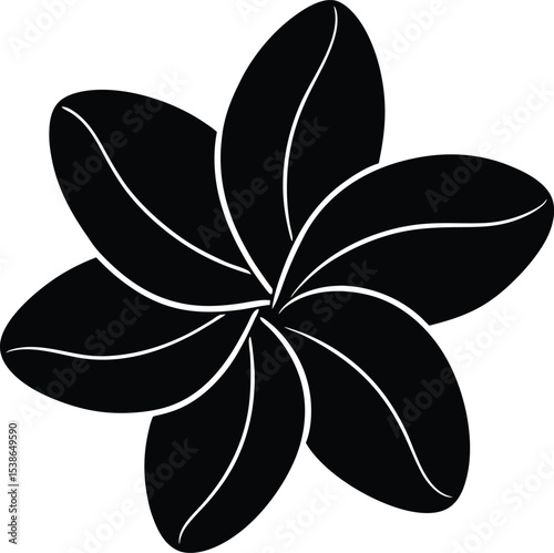 frangipani flower silhouette on white background