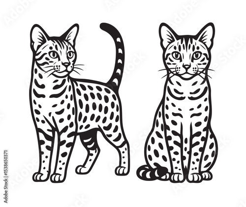 Two Egyptian Mau cats in black and white, one standing and one sitting, detailed engraving style. Pet.