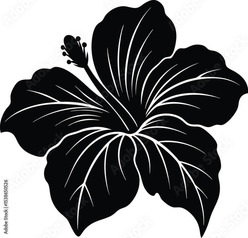 hibiscus flower silhouette on white background