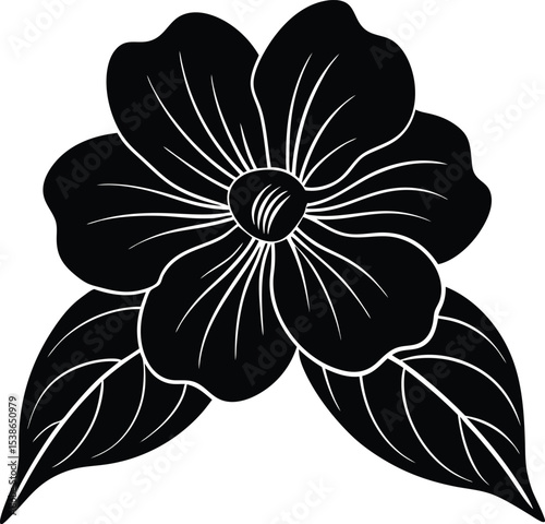 impatiens flower silhouette on white background