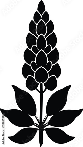lupine flower silhouette on white background