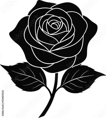 rose flower silhouette on white background