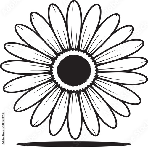 Daisy flower illustration: A close-up, black and white illustration of a daisy flower, showing intricate details of the petals and central disc. A perfect depiction of nature.