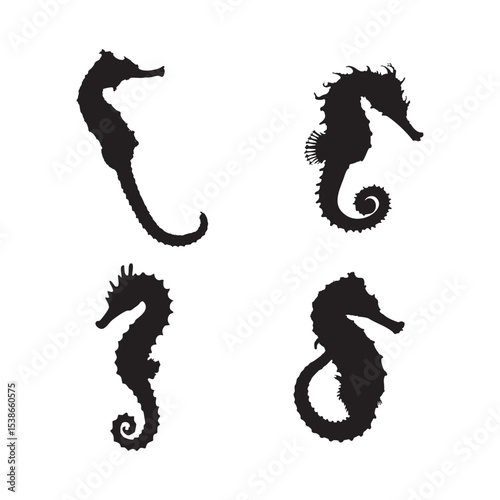 Black Seahorse Silhouette Set  Marine Life Vector Collection Isolated on White Background
