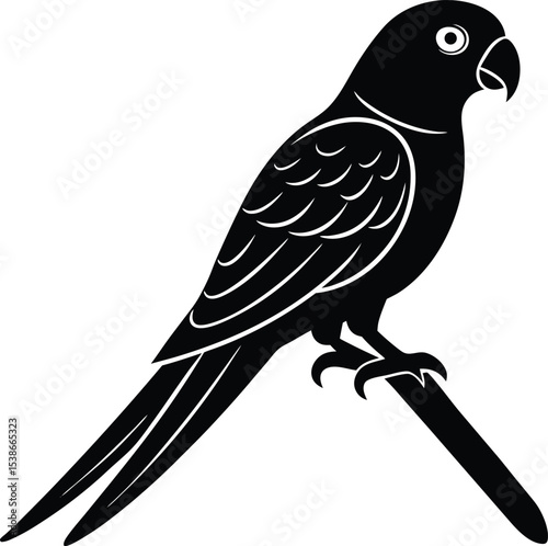 Side silhouette of parrot on branch with bold tail feathers