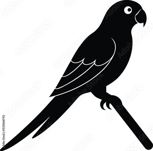 Black silhouette of tropical parrot with curved beak
