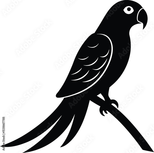 Tropical bird vector silhouette with curved beak and tail