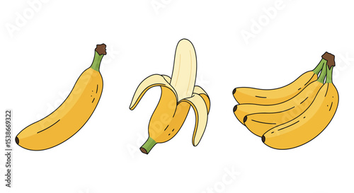 Fresh banana trio illustrations for healthy lifestyle design and decor vector illustration