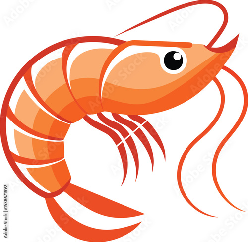 vector illustration of shrimp