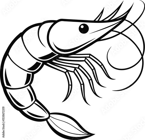 shrimp line art vector