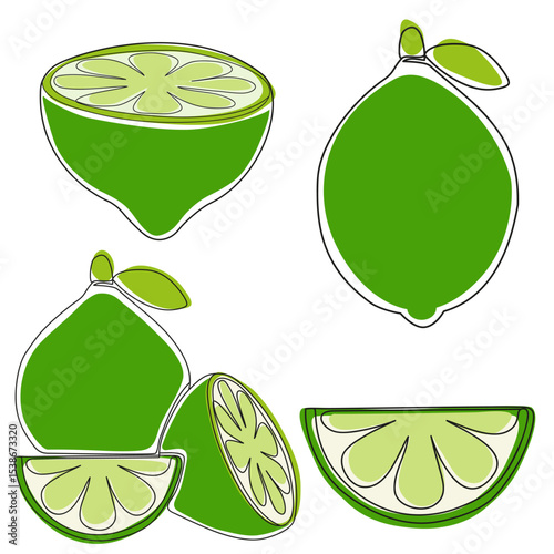 Whole lime with leaves, lime slice and cut lime. Organic fruits for lemonade juice or vitamin C healthy food. 
