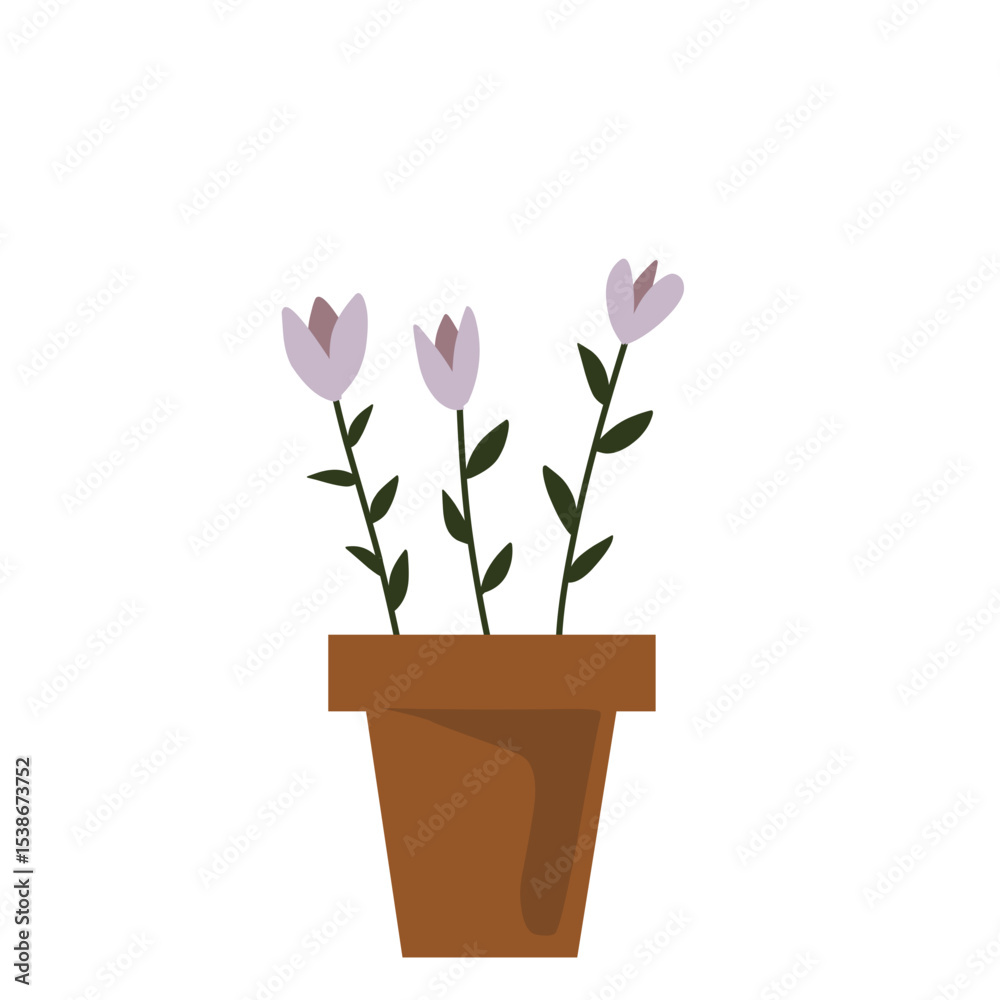 Naklejka premium pink tulips in flowerpot