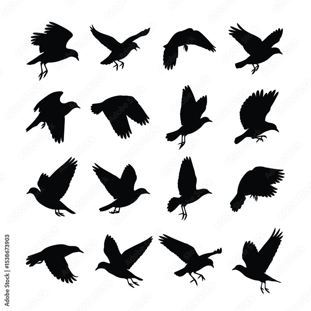 Obraz premium Sixteen bird silhouettes in flight collection
