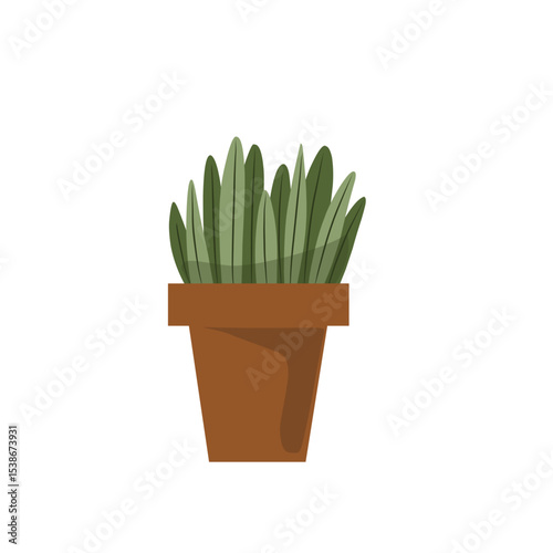 cactus in a pot