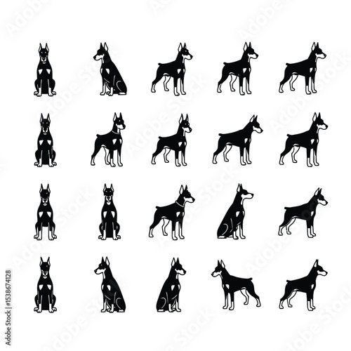 Doberman pinscher dog breed illustrations set