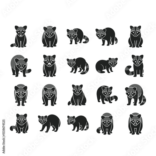 Twenty raccoon poses illustrations set
