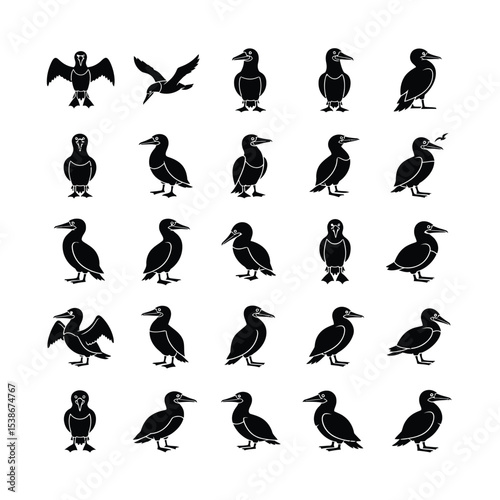 Collection of masked booby bird silhouettes in various poses