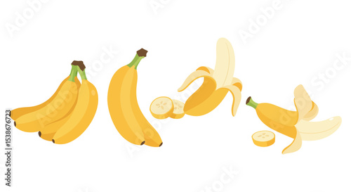 Fresh and ripe bananas in different stages for healthy eating and food design vector illustration