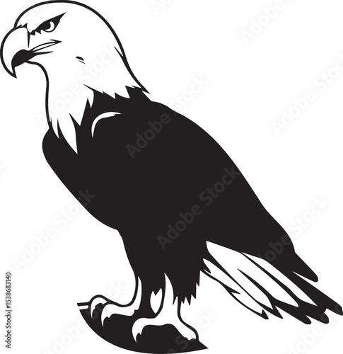 bald eagle silhouette vector design