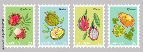 Postage stamps with fruits. Fruit stickers with rambutan, durian, pitaya and kiwano on colored backgrounds. Whole and sliced ​​fruits with leaves. Set of hand drawn vector illustrations. Cartoon
