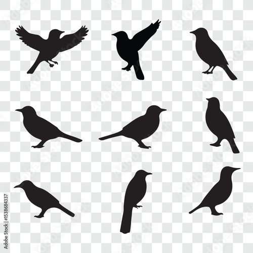Flat and Minimal crow icon vector illustration isolated on white background an bart icon