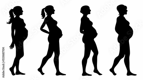 Four silhouettes showing different stages of pregnancy in black against a white background image view | eps vectors