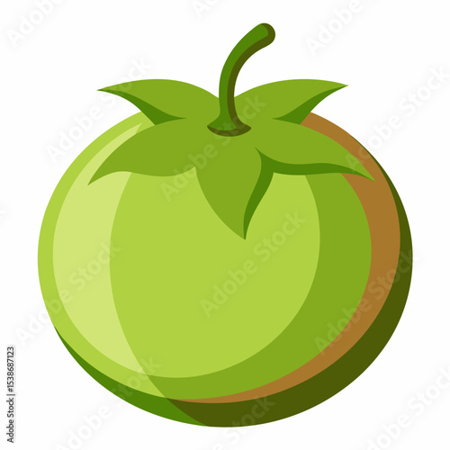 Illustration of a green unripe tomato with a stem and leaves isolated on a white background perfect for food related designs and educational material