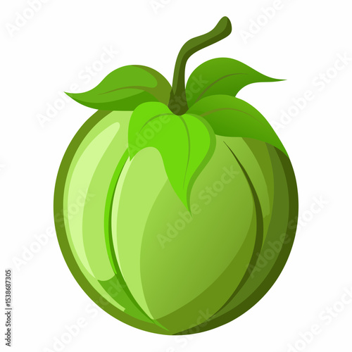 Illustration of a green tomato with leaves and stem isolated on white background perfect for food blogs recipe cards or educational material about vegetables