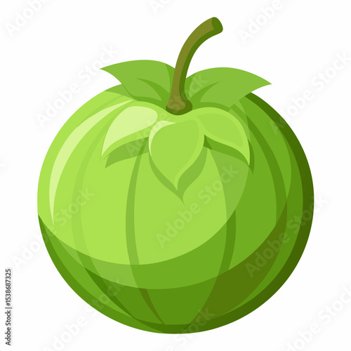 Illustration of a Fresh Green Tomatillo a Mexican Cuisine Staple Perfect for Salsa Verde and Other Dishes Isolated on White Background for Easy Use