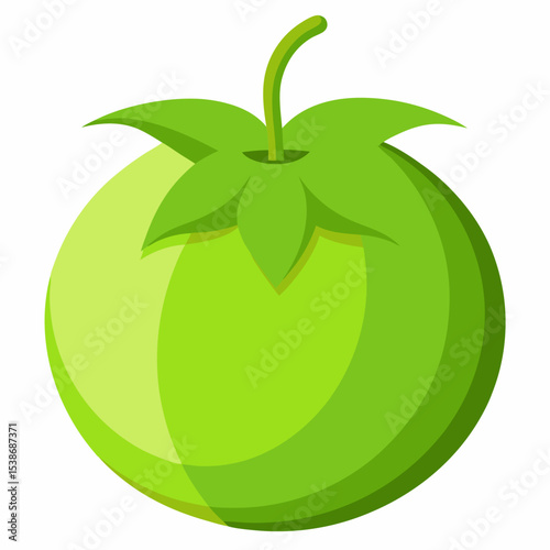 Illustration of a green tomato a simple and clean design perfect for use in recipes food blogs or educational materials about fruits and vegetables