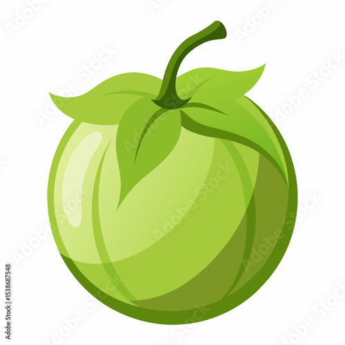 Illustration of a unripe green tomato with leaves and stem isolated on a white background perfect for culinary designs or educational materials about vegetables