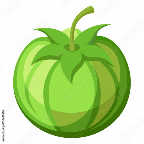 Vibrant Green Tomato Illustration with Detailed Shading Perfect for Food Blogs Recipe Illustrations and Healthy Eating Content Isolated on White Background for Easy Integration