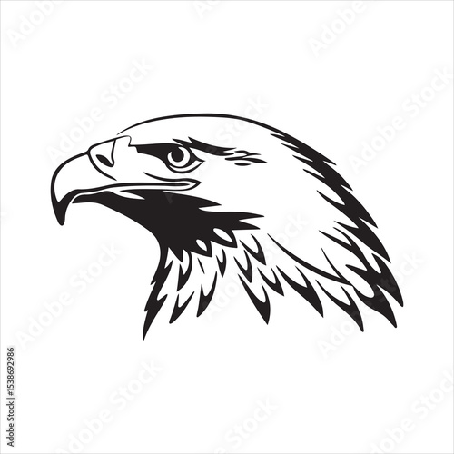 Golden Eagle – Majestic Raptor of Mountains and Skies