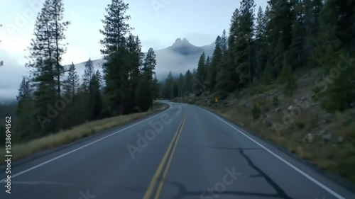 Mountain Road Serenity: Evergreen Forest, Misty Peaks, and Asphalt Curve.