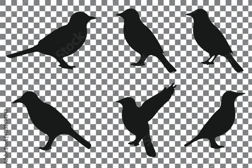 Flat and Minimal crow icon vector illustration isolated on white background an bart icon