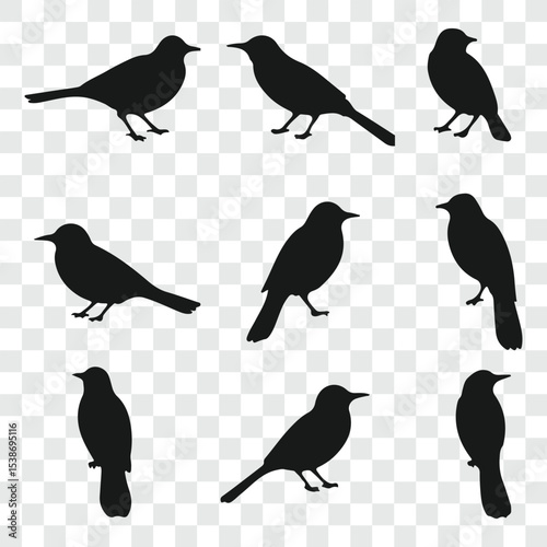 Flat and Minimal crow icon vector illustration isolated on white background an bart icon