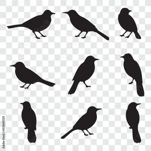 Flat and Minimal crow icon vector illustration isolated on white background an bart icon