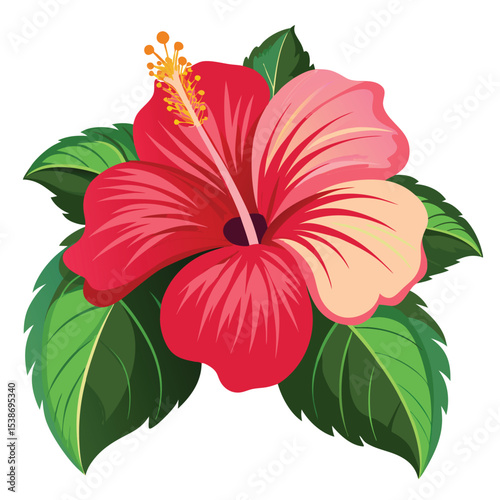 A hibiscus flower vector art illustration