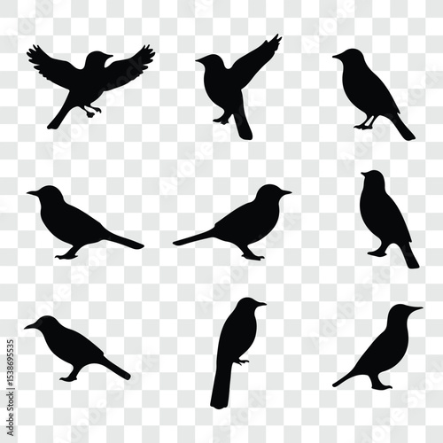 Flat and Minimal crow icon vector illustration isolated on white background an bart icon