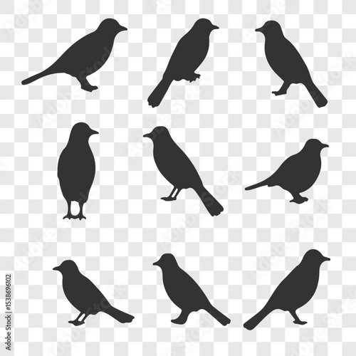 Flat and Minimal crow icon vector illustration isolated on white background an bart icon