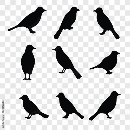 Flat and Minimal crow icon vector illustration isolated on white background an bart icon